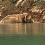 Khao Sok National Park: 3-day nature & jungle tour on Cheow Lan Lake - Breaking Down the Itinerary: What You Can Expect