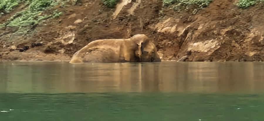 Khao Sok National Park: 3-day nature & jungle tour on Cheow Lan Lake