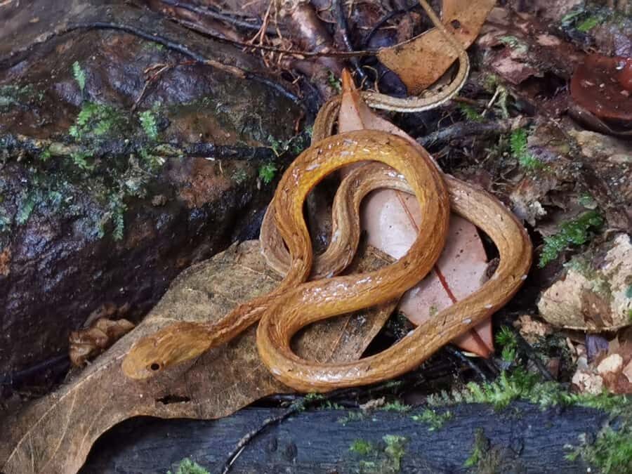 Khao Sok : One day lake trip with Diamond Cave - Detailed Breakdown of the Itinerary