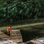 Khao Sok: Private Bamboo Rafting & Jungle Cave Temple Tour - What to Expect on the Tour