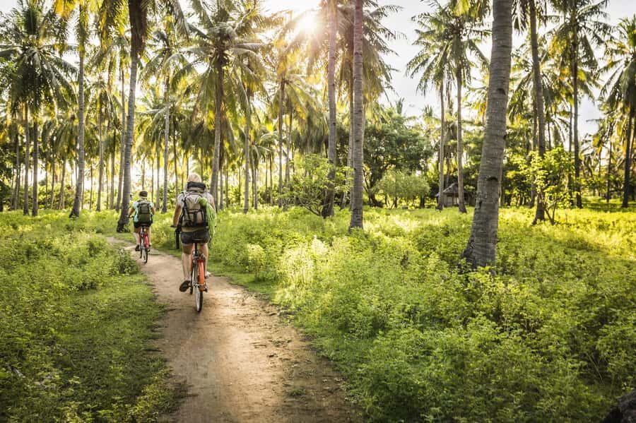Khao Sok: Private Local Life Bike Tour with Fruit Tasting - Who Is This Tour Best For?