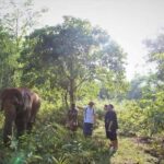 Khao Sok: Unique Dusk Ethical Elephant Sanctuary Experience - The Authenticity and Ethical Approach