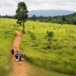 Khao Yai National Park Full Day Tour from Bangkok - Transportation and Practical Details