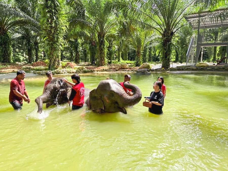 KhaoLak :White Water Rafting ,Monkey Cave, Elephant Bathing - Detailed Breakdown of the Itinerary