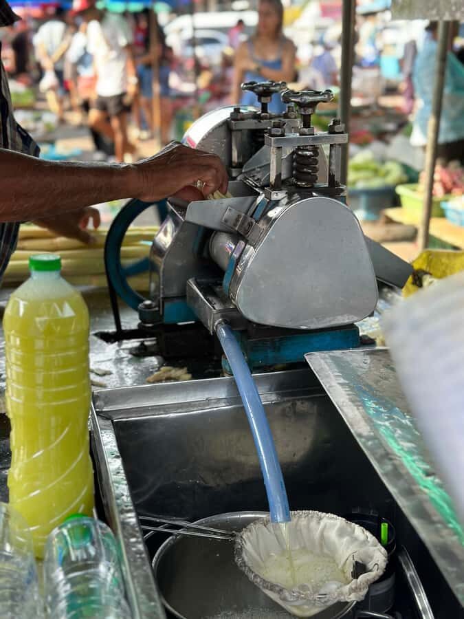 Khaosok: Jungle Walk & Bamboo Rafting with Local Market - Practical Details and Considerations