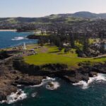 Kiama Coastal Day Tour in Sea Cliff Bridge Blowhole and Wildlife - An In-Depth Review of the Itinerary and Highlights