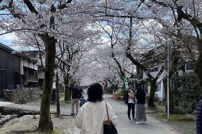 Kimono Experience in Akizuki Castle Town - Why This Tour Should Be on Your Radar