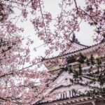 Kimono Walk and Tea ceremooy and sake in Historic Kitsuki Castle - Is This Tour Worth the Price?