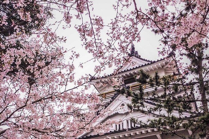 Kimono Walk and Tea ceremooy and sake in Historic Kitsuki Castle - Is This Tour Worth the Price?