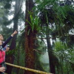 Kinabalu National Park Tour - Authentic Insights from Travelers