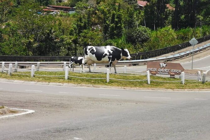 Kinabalu Park And Poring Hot Spring Private Day Tour - What’s Included and What to Expect