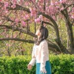 King Cherry Blossom Trail with Starfield One Day Tour from Seoul - Practical Details and Value