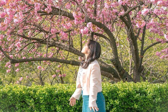 King Cherry Blossom Trail with Starfield One Day Tour from Seoul - Practical Details and Value