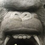 King Kong Cave ATV Quad Bike Ubud - Practical Tips for Your Trip