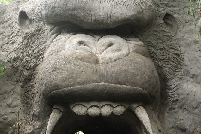 King Kong Cave ATV Quad Bike Ubud - Practical Tips for Your Trip