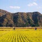 Kinosaki:Rental Electric scooter-Natural Treasures route-/120min - Who Will Love This Tour?