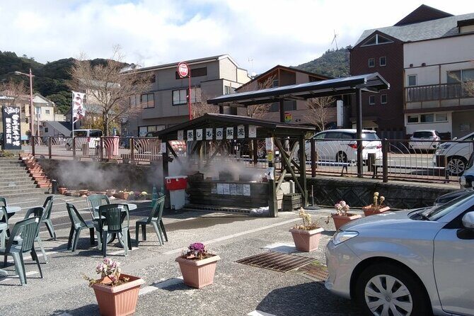 Kirishima Highlights from Kagoshima Port by Private Car - Who Would Love This Tour?