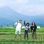 Kirishima: Shrine Ritual, Hike, & Bento Lunch - The Scenic Rice Paddy Walk (55 minutes)