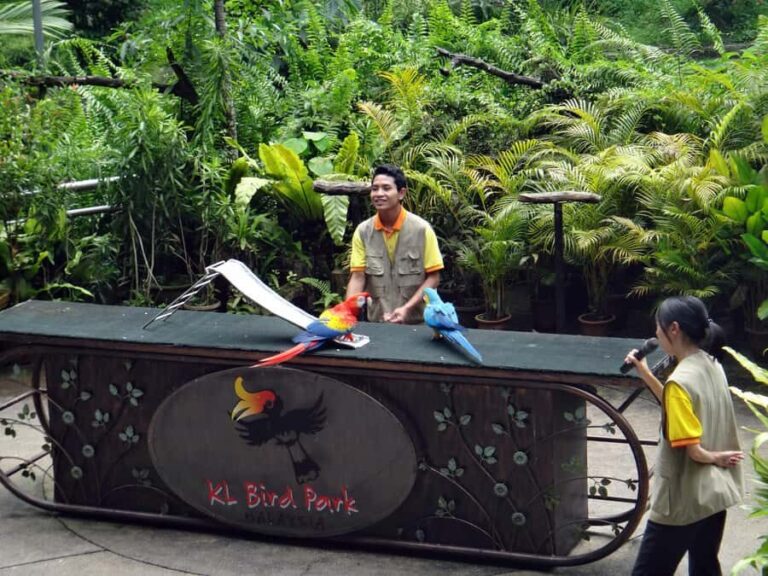 KL Green Escape: 4-Hour Gardens, Bird & Butterfly Tour - Final Thoughts: Is This Tour Right for You?