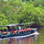 Klias River Fireflies & Wildlife Safari Cruise from Kota Kinabalu - Frequently Asked Questions