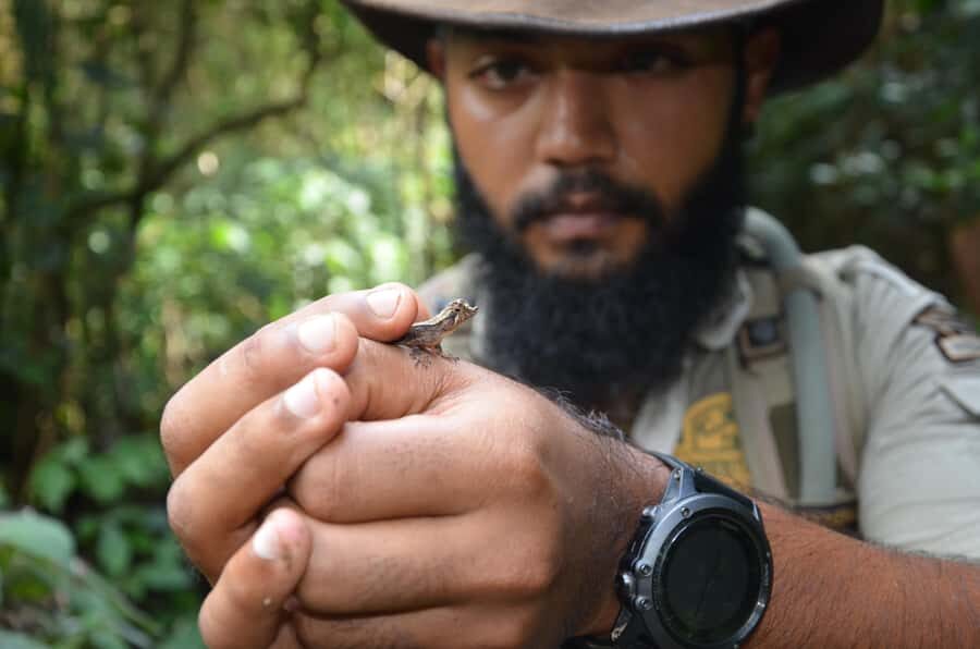 Knuckles: Wildlife Tours with FGASA Field Guides - Practical Details and Logistics