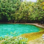 Ko Lanta: Full Day Emerald Pool&Hot Spring With Tiger Temple - Final Thoughts: Is This Tour Worth It?