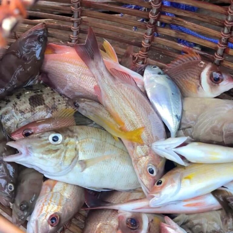 Ko Lanta: Ko Por Village Private Fishing & Kayaking Tour - Exploring Ko Por Village and Its Surroundings