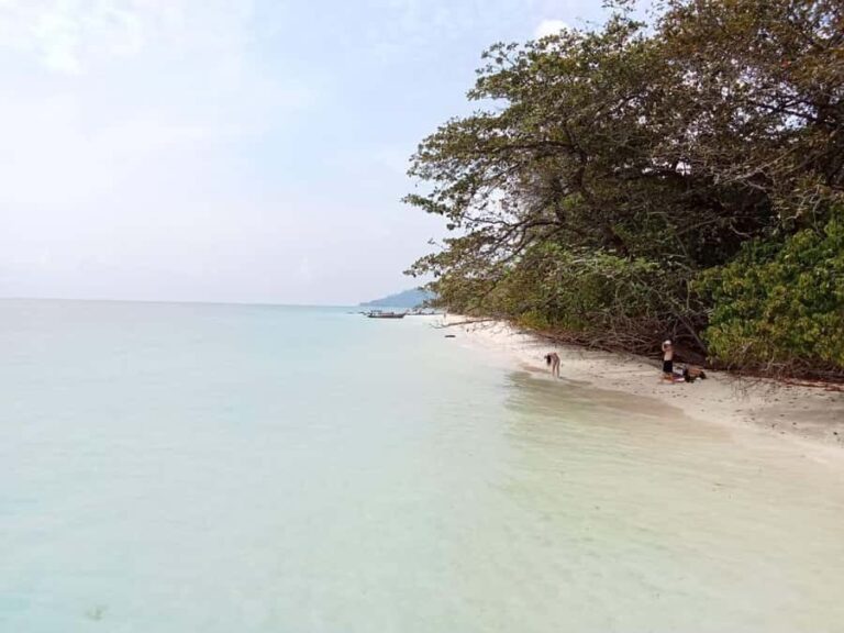 Ko Lanta: Private Long-tail Boat Fishing & Snorkeling Tour - What Makes This Tour Stand Out?