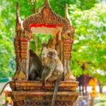 Ko Lanta: Private Tiger Cave, Hot Spring & Emerald Pool Tour - The Experience: What to Expect