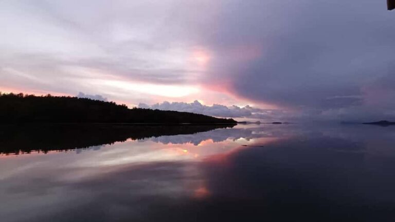 Ko lanta: Sunrise kayaking Through Mangrove Waterways - Who Is This Tour Best For?