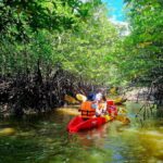Ko Lanta: The Mangrove Kayaking Experience + Local Lunch - Detailed Breakdown of the Experience