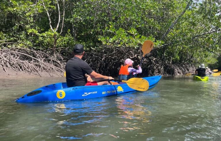 Ko Lanta: Thung Yee Peng Mangrove Kayak Rental - The Village and Surroundings