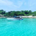 Ko Samui: Pig Island Snorkeling and Koh Tan Speedboat Tour - What Makes This Tour Stand Out?