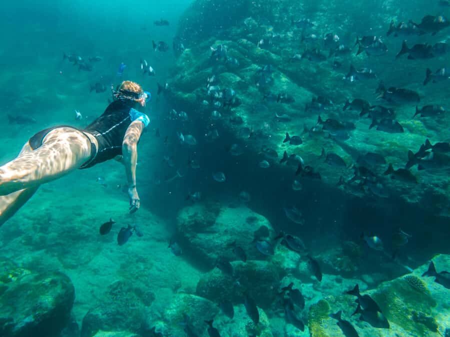 Ko Samui: Unique Ko Tao & Ko Nang Yuan Snorkeling Day Trip - The Value of the Tour