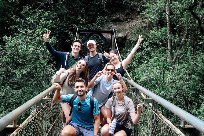 Koalas, 6 Springbrook Waterfalls and Natural Bridge Day Tour - Practical Aspects and Considerations