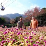 Kobe Explore Top Highlights by Private Walking Tour - In-Depth Breakdown of the Itinerary