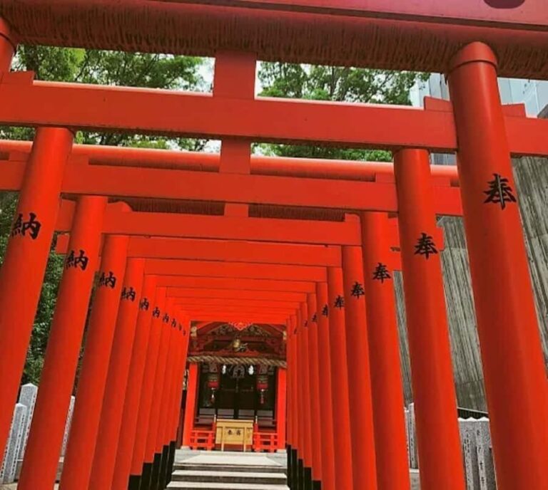 Kobe: Guided Walking Tour with Kobe Beef Lunch - A Deep Dive into the Experience