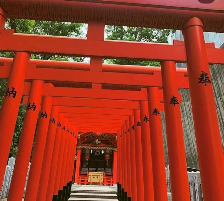 Kobe: Guided Walking Tour with Kobe Beef Lunch - A Deep Dive into the Experience