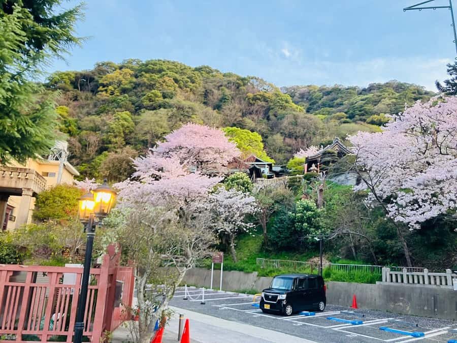 Kobe & Himeji: Private Custom Tour With Driver and vehicle - The Complete Breakdown of the Kobe & Himeji Private Tour