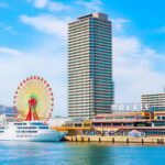 Kobe & Himeji: Private Day Tour Castles, Harbor & Culture - Why Choose This Tour?