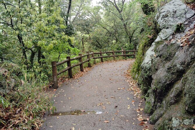 Kobe Nunobiki Falls Morning Guided Hike - The Itinerary in Detail