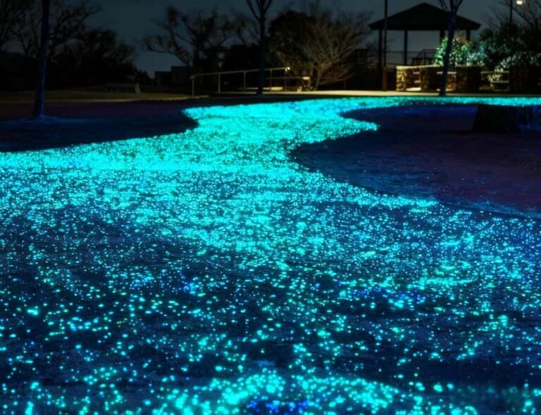 Kobe: Private Night Views Tour with Local Guide - Discovering Kobe at Night: An In-Depth Review