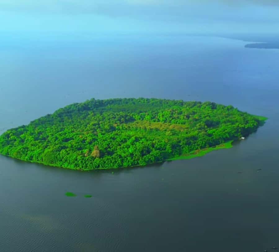 Kochi: Kumarakom Day Trip with Private Shikara Cruise & more - Who Would Love This Experience?