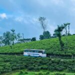 Kochi: Private Kerala Scenic Beauty Day Tour with Lunch - Pothundi Dam and Waterfalls
