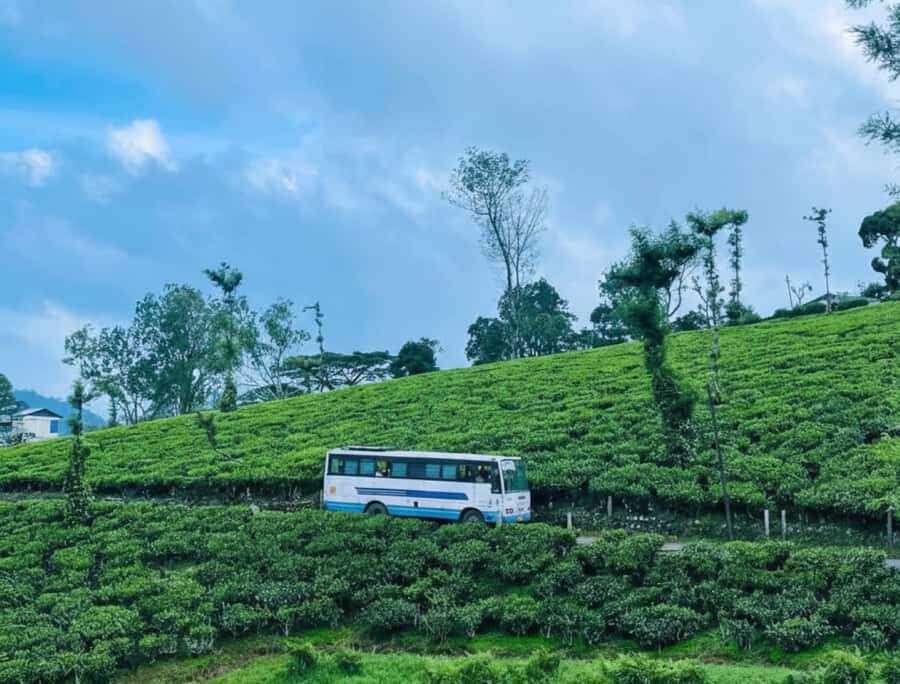 Kochi: Private Kerala Scenic Beauty Day Tour with Lunch - Pothundi Dam and Waterfalls