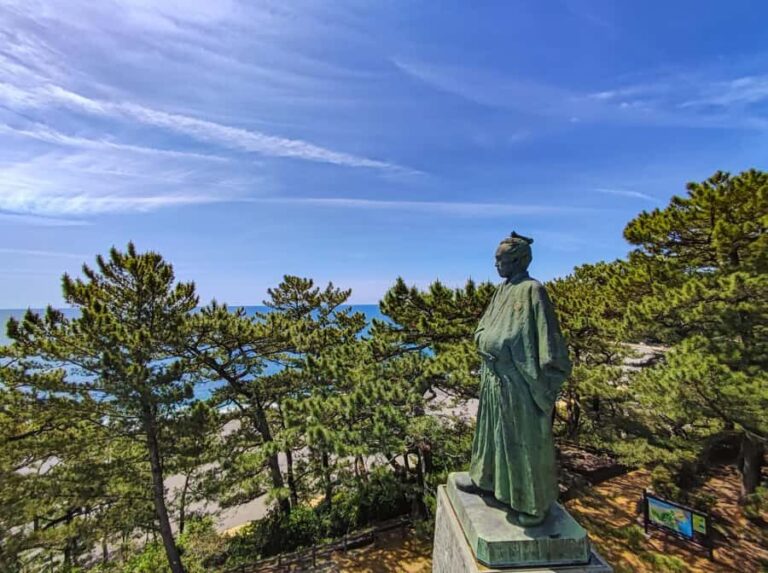 Kochi: Private Shore Excursion for cruise passenger - Analyzing the Value