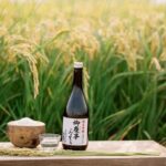 Koga: Aoki Shuzo Sake Brewery Tour with Tasting - Who Will Love This Tour?