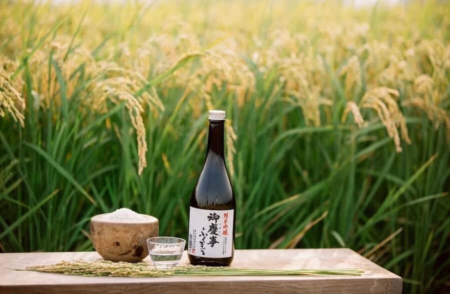 Koga: Aoki Shuzo Sake Brewery Tour with Tasting - Who Will Love This Tour?