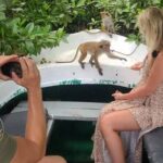 Koggala Lake Safari: Monkeys, Wildlife & Cinnamon Island Visit - An In-Depth Look at the Koggala Lake Safari