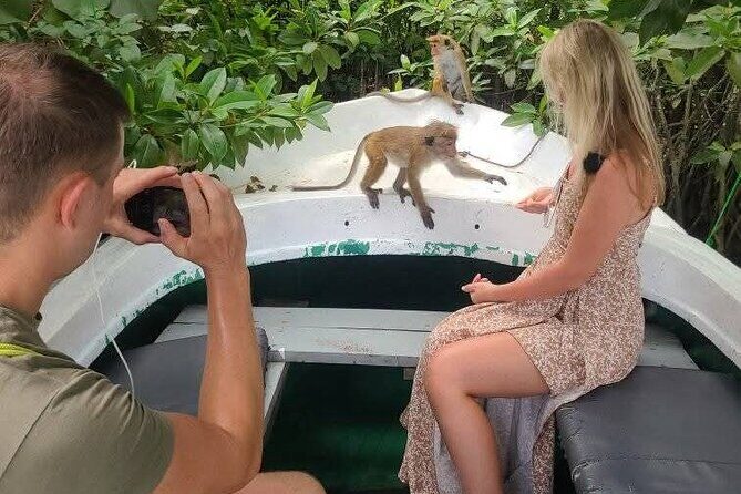 Koggala Lake Safari: Monkeys, Wildlife & Cinnamon Island Visit - An In-Depth Look at the Koggala Lake Safari